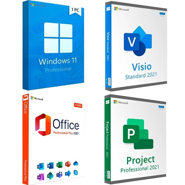 Microsoft Office 2021 Standard vs. Professional Plus
